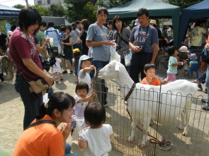 楽しく子育て＠ふるいちば（移動動物園）写真