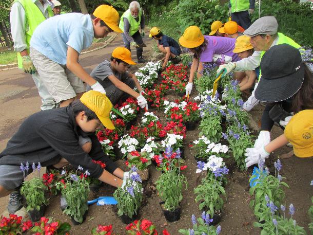 小学生による花植え