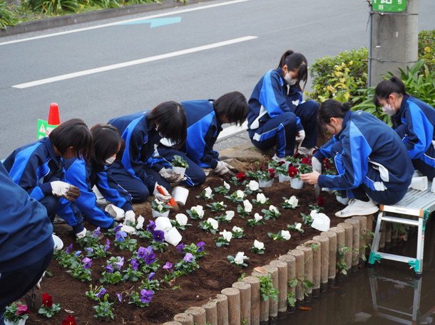 塚越中学校の緑化委員による花植えをしている写真