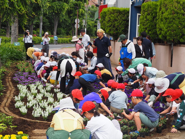 下平間小学校との花植えの写真
