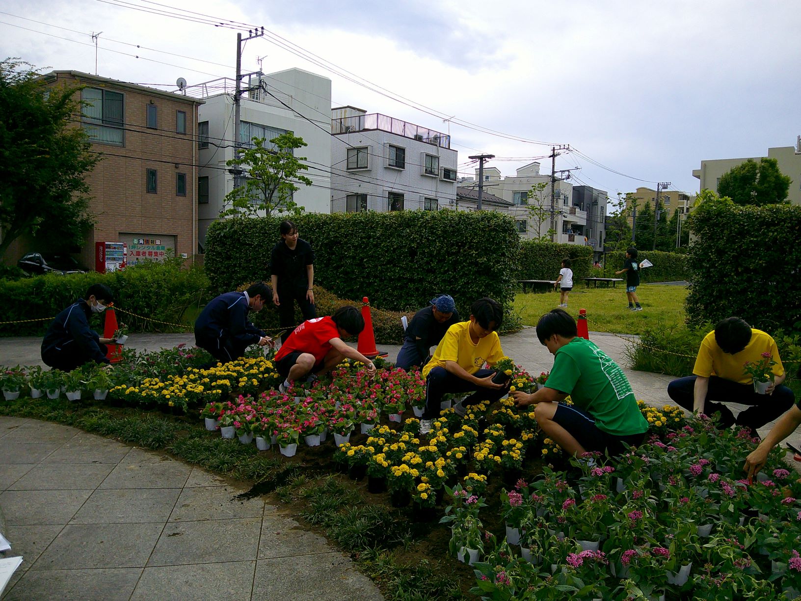 幸高校生が花植えをしている写真（令和6年10月）