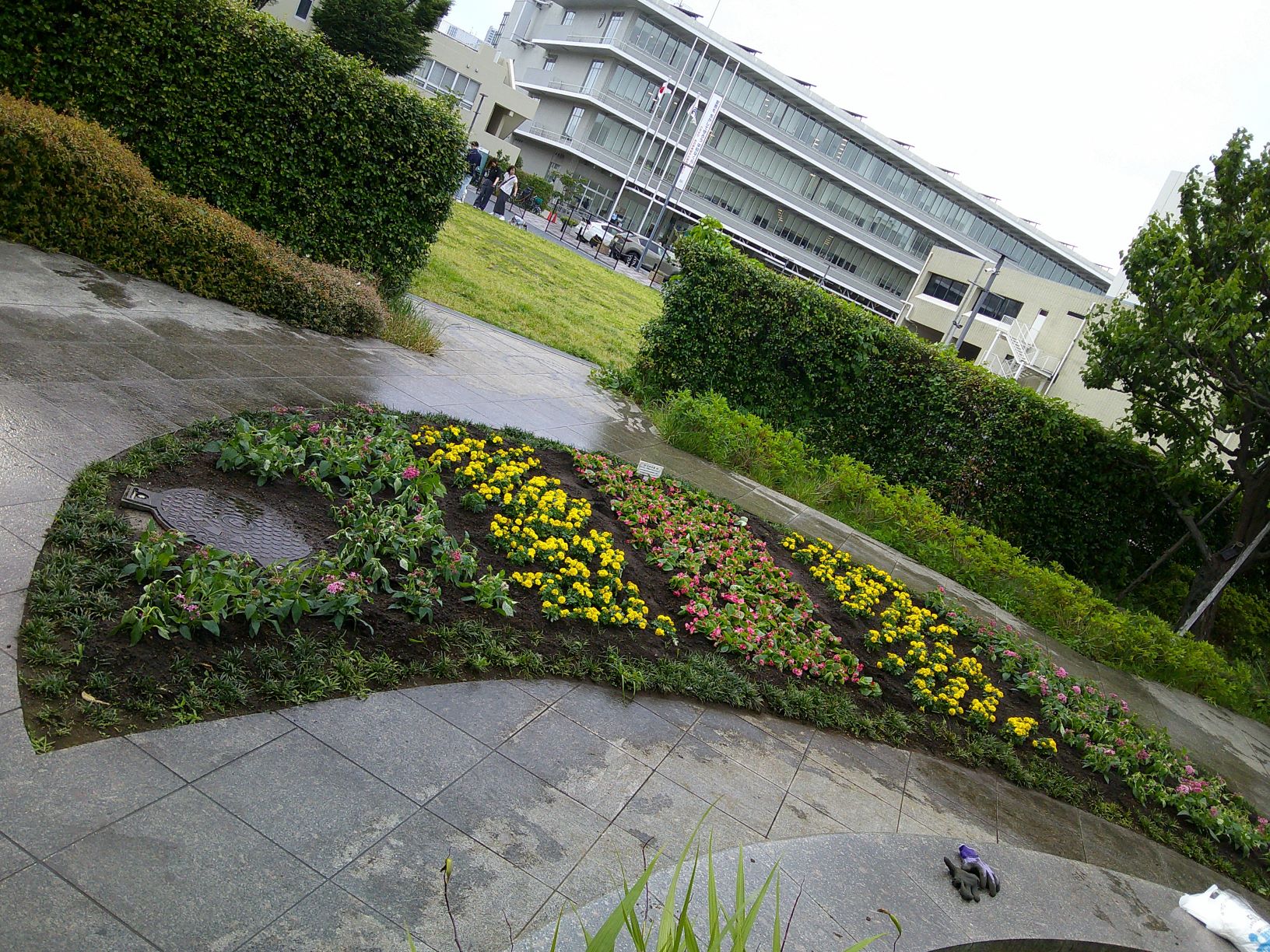 花植え後の写真
