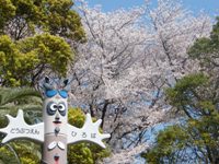 夢見ヶ崎動物公園入口にあるトーテムポールと桜