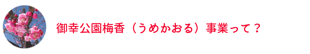 御幸公園梅香（うめかおる）事業って？見出しロゴ