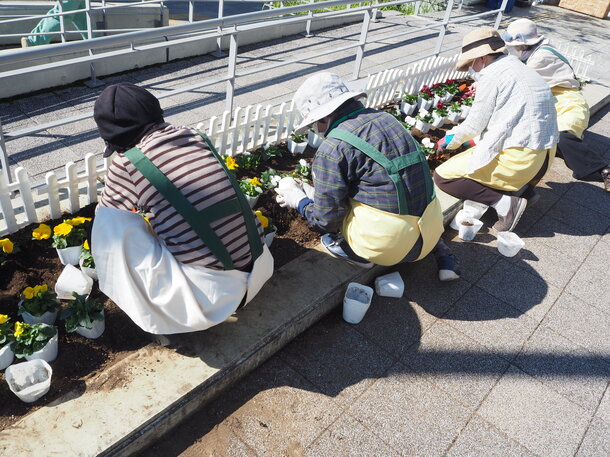 花クラブの活動（庁舎前）