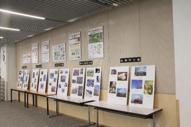 幸区役所1階ロビーハナミズキに展示の様子