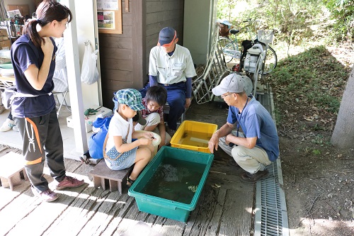 自然観察をしてみよう