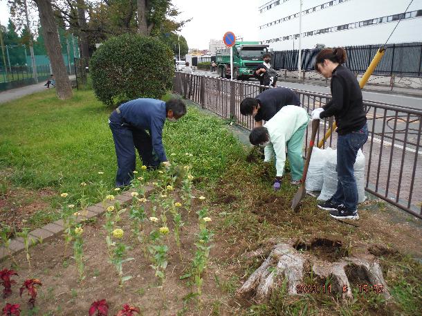 花壇に生えていた雑草を取り除いています。