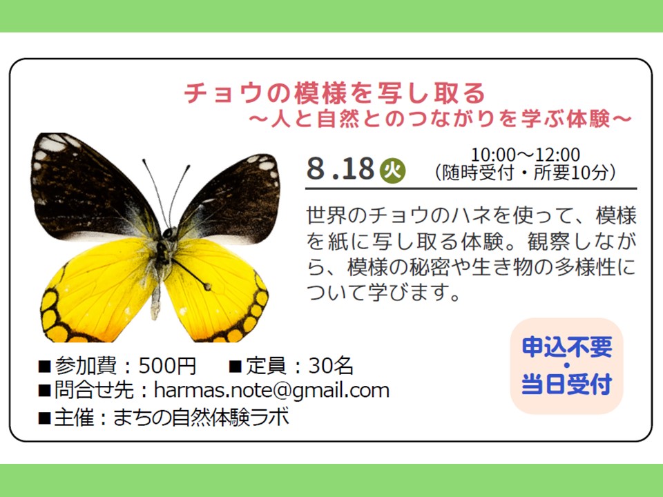 チョウの模様を写し取る