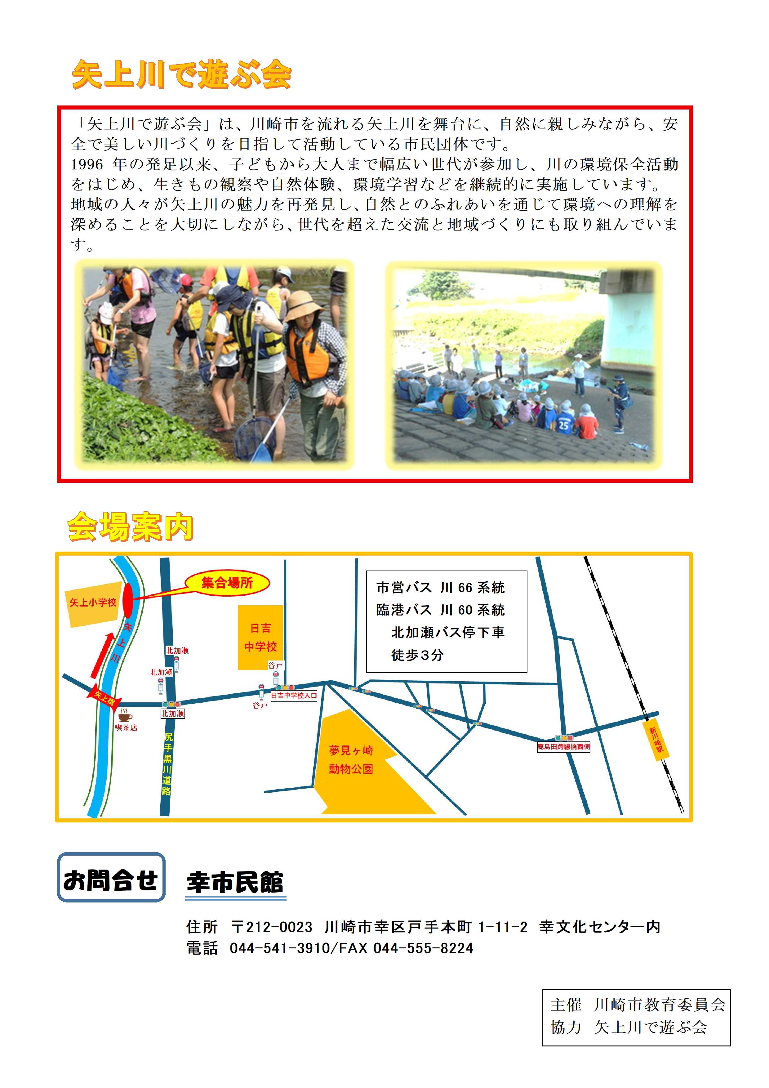 チラシ裏