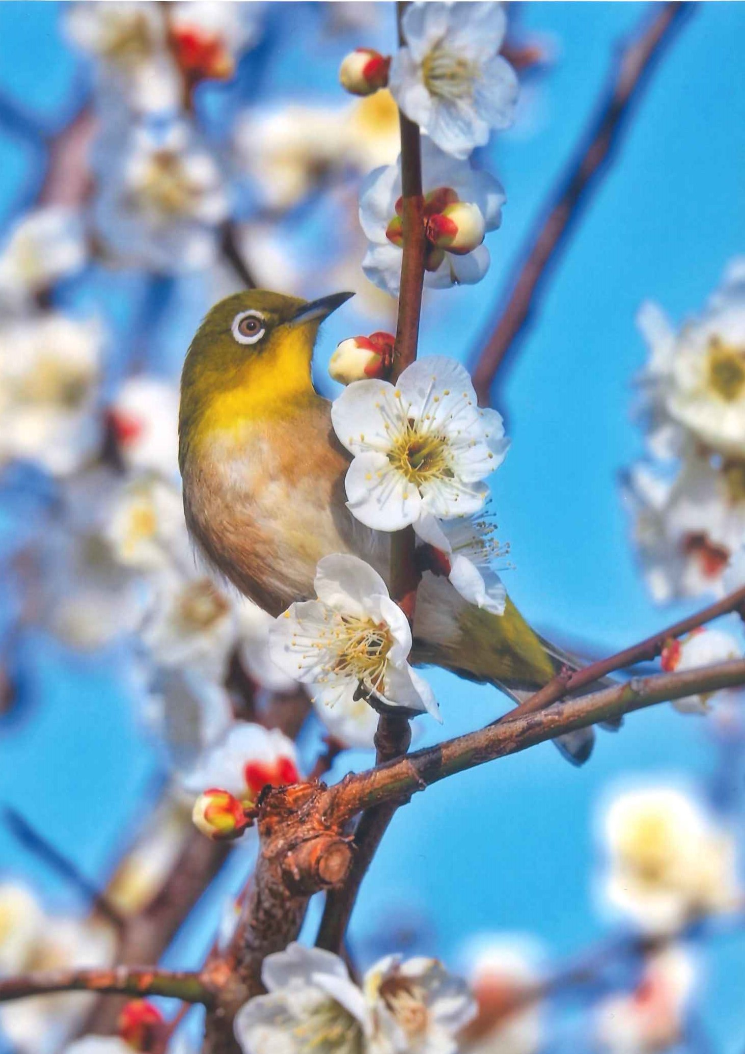 幸区文化協会会長賞受賞作品