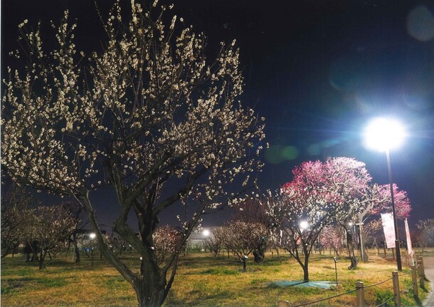 幸観光協会賞受賞作品