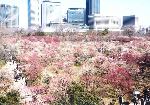 タウンニュース賞受賞作品