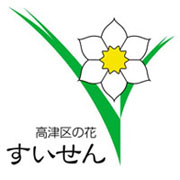 高津区の花　すいせん