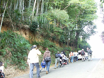 写真　みんなで山登り