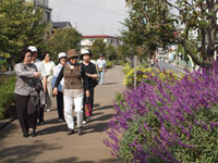 写真　カモやコイ、季節の花も見つけました