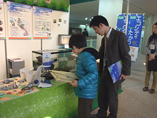 小学校のビオトープを再現 どんな生きものがいるのかな？