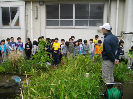 梶ケ谷小ビオトープ紹介