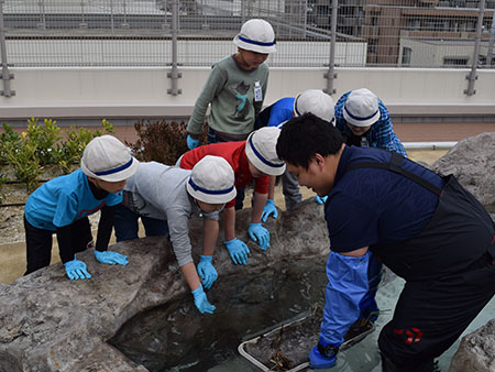 末長小ビオトープ紹介