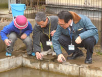 橘小ビオトープ紹介