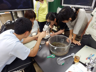 採取した生き物観察①