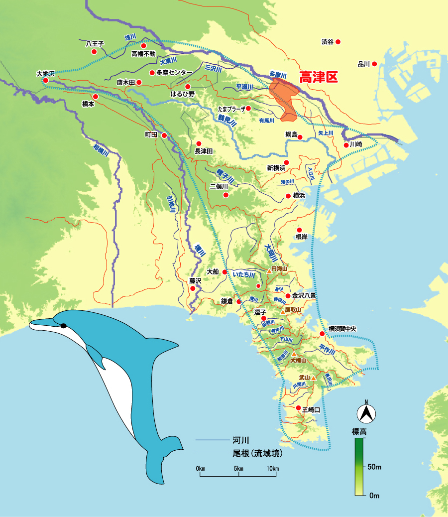 多摩三浦丘陵の地形の中の高津