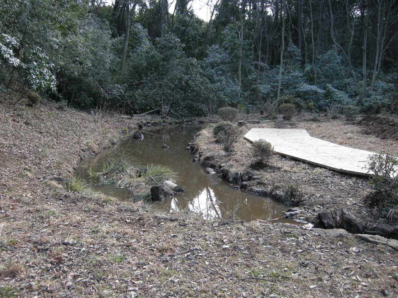 遊水地の観察２