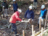 カントリーヘッジの設置作業