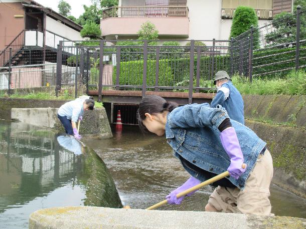 活動写真