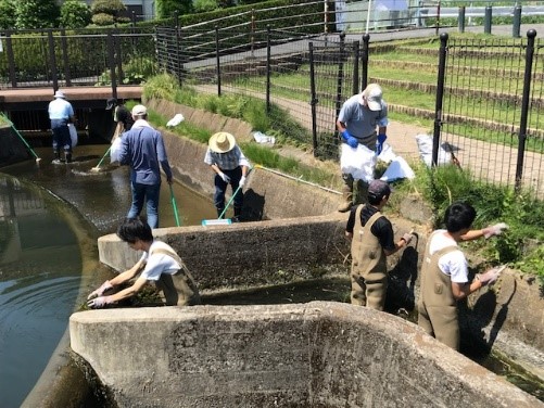 活動写真