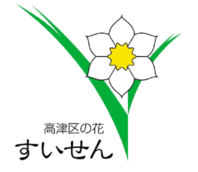 高津区の花すいせん