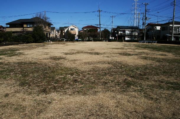 橘樹郡衙の現在の姿（たちばな古代の丘緑地）