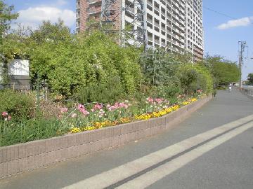 久地橋の花壇写真