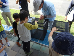 生きもの観察・解説