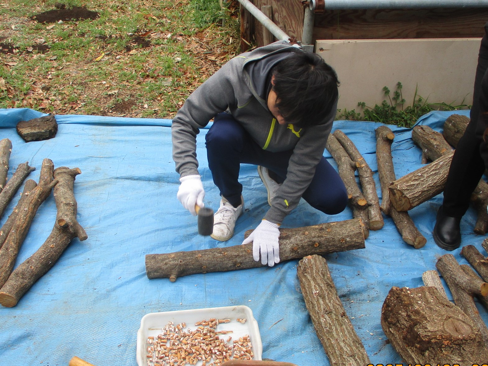 里山保全体験教室