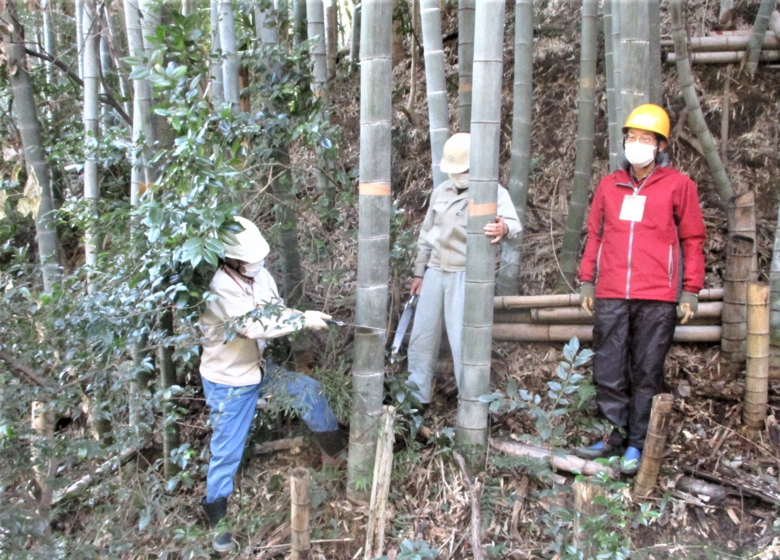 里山保全体験教室