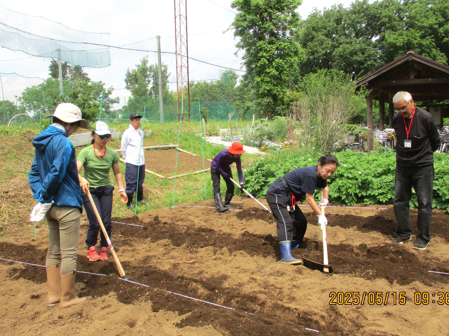 菜園体験教室の様子(1)