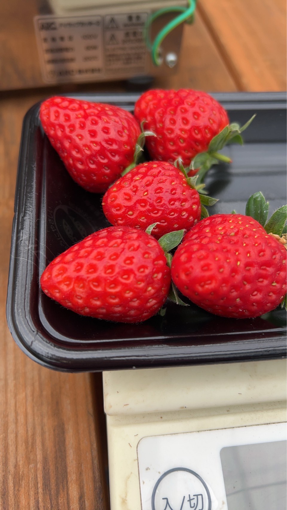 澁谷農園のイチゴ(2)