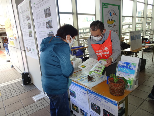 ノカンゾウを配布している様子