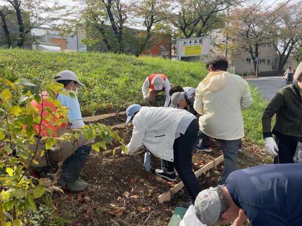 かすみ堤ノカンゾウ保全