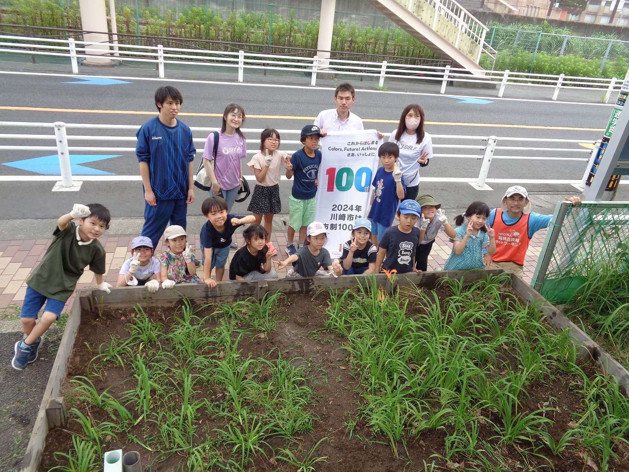 久本小学校ノカンゾウ保全