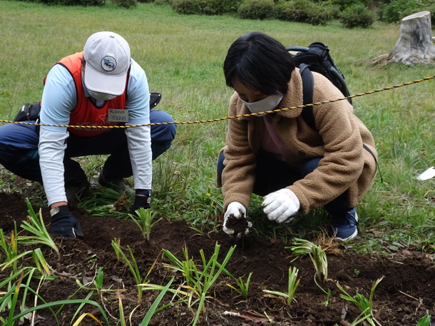 みどりの里親植え付けの様子