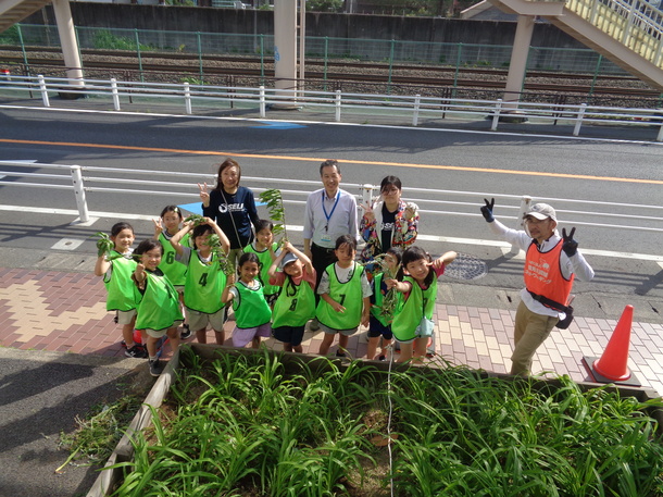 久本小学校ノカンゾウ保全