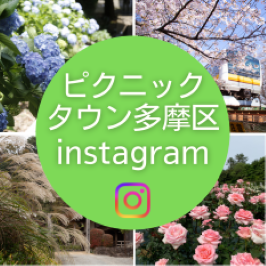 公式Instagramで最新情報を発信中！