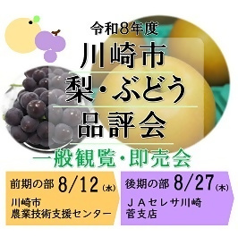 梨・ぶどう品評会　一般観覧と即売会