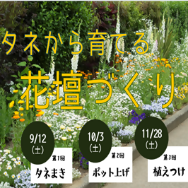 緑化センター講習会「タネから育てる花壇づくり」