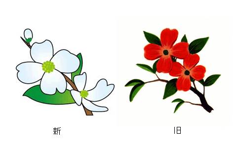 多摩区の木　ハナミズキの新旧イラスト画像