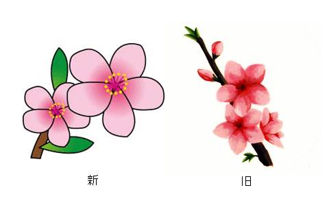 多摩区の花　モモの新旧イラスト画像