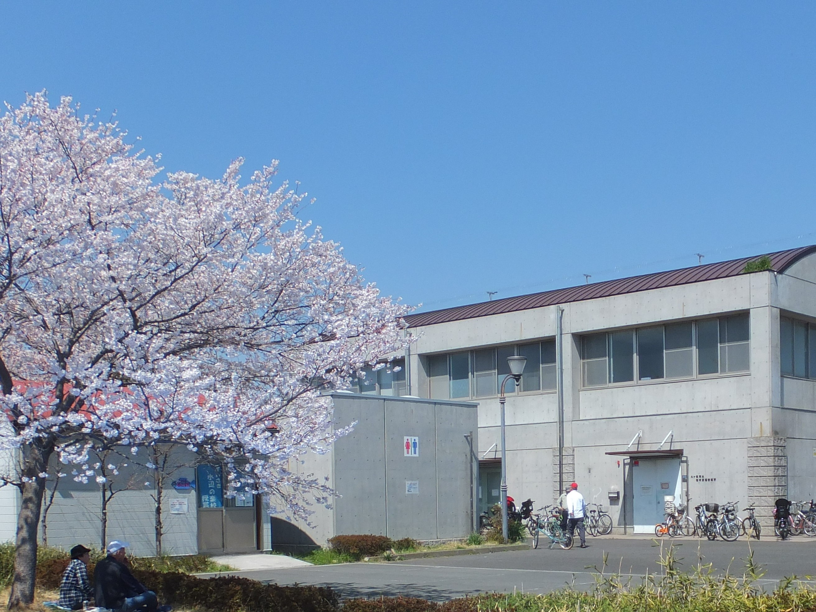 せせらぎ館(1)