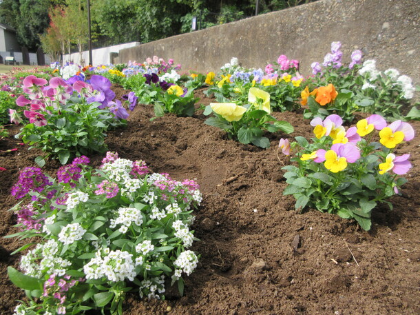 花壇の写真1